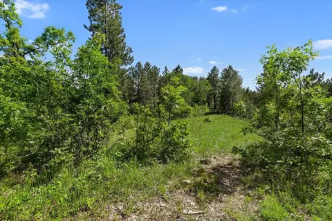 20813 Mollman L Other, Lead, SD 57754 photo 24