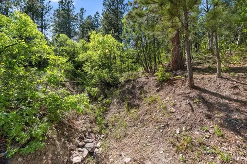 20813 Mollman L Other, Lead, SD 57754 photo 27