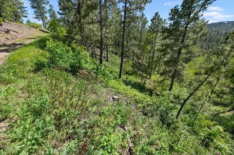 20813 Mollman L Other, Lead, SD 57754 photo 26