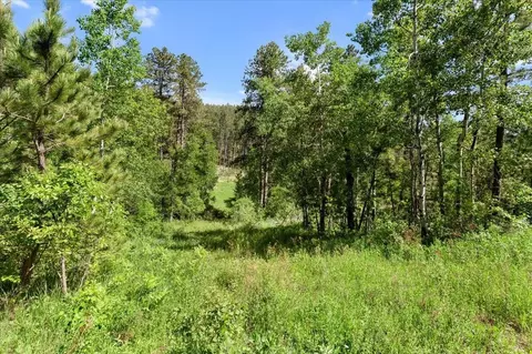 20813 Mollman L Other, Lead, SD 57754 photo 29