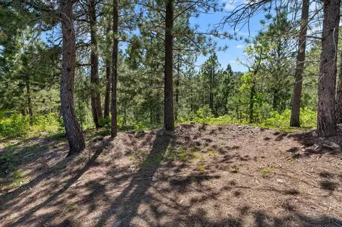 20813 Mollman L Other, Lead, SD 57754 photo 40