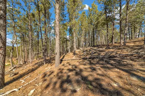 lot20 Caledonia Trl, Custer, SD 57730 photo 13