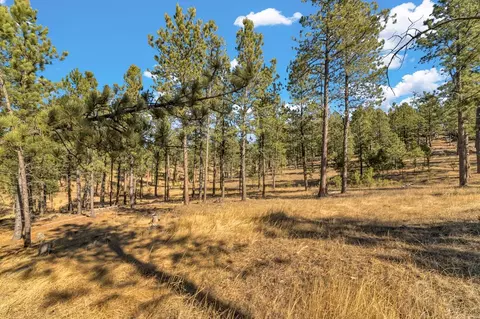 lot20 Caledonia Trl, Custer, SD 57730 photo 11