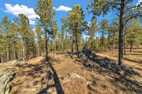 lot20 Caledonia Trl, Custer, SD 57730 photo 5