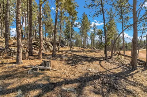 lot20 Caledonia Trl, Custer, SD 57730 photo 14