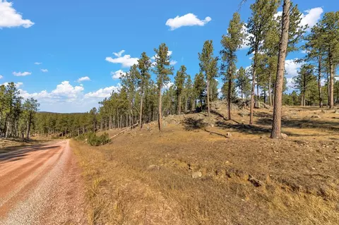 lot20 Caledonia Trl, Custer, SD 57730 photo 4