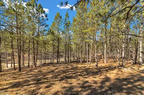 lot20 Caledonia Trl, Custer, SD 57730 photo 12