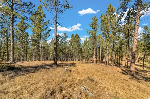 lot20 Caledonia Trl, Custer, SD 57730 photo 9