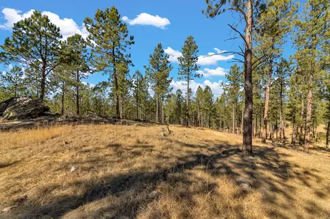 lot20 Caledonia Trl, Custer, SD 57730 photo 8