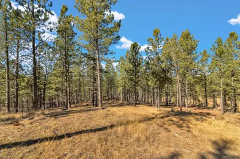 lot20 Caledonia Trl, Custer, SD 57730 photo 10