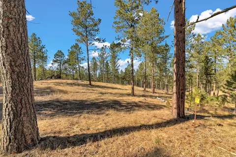 lot20 Caledonia Trl, Custer, SD 57730 photo 7
