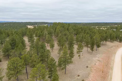 tbd Gunsmoke, Custer, SD 57730