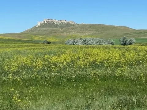 16547 Highway 79, Newell, SD 57760
