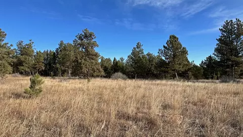 lot8 Argyle Rd, Hot Springs, SD 57747