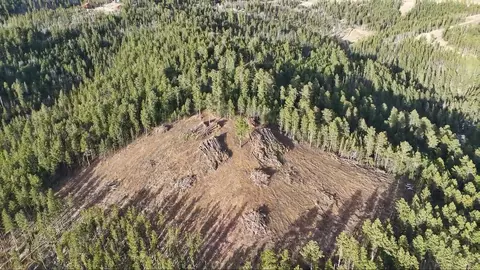 lot191 Deer Mountain Rd, Lead, SD 57754 photo 1