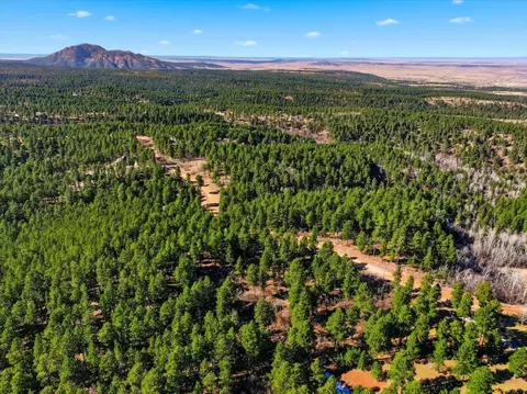 25 Pasque Loop, Spearfish, SD 57783 photo 8
