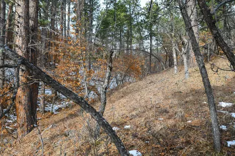 tbd Aster Rd, Spearfish, SD 57783 photo 29
