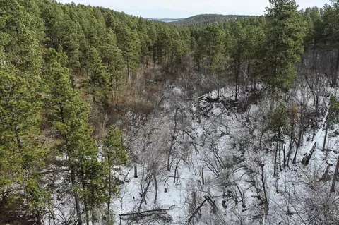 tbd Aster Rd, Spearfish, SD 57783 photo 13