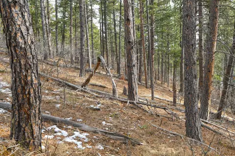 tbd Aster Rd, Spearfish, SD 57783 photo 30