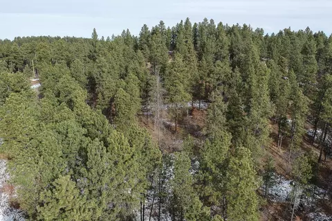 tbd Aster Rd, Spearfish, SD 57783 photo 11
