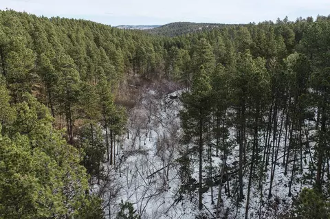 tbd Aster Rd, Spearfish, SD 57783 photo 12