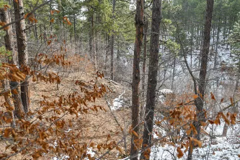 tbd Aster Rd, Spearfish, SD 57783 photo 27