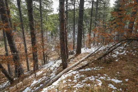 tbd Aster Rd, Spearfish, SD 57783 photo 26