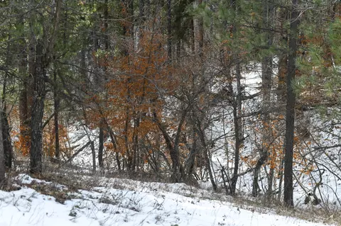 tbd Aster Rd, Spearfish, SD 57783 photo 24