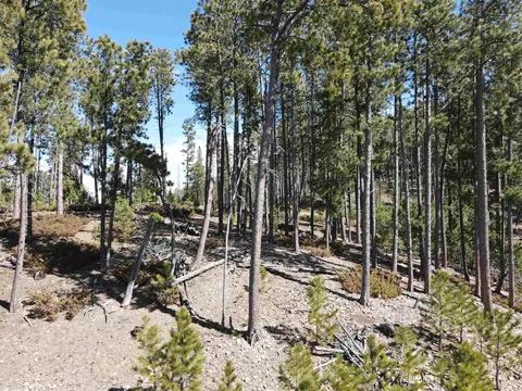 tbd Wasp Rd, Lead, SD 57754 photo 3