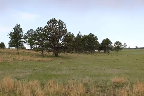 Tract 4 Lariat Circle, Hot Springs, SD 57747