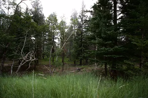 12052 Little Elk Rd, Deadwood, SD 57732