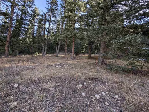 lot99 Mossy Pine Loop, Lead, SD 57754 photo 33