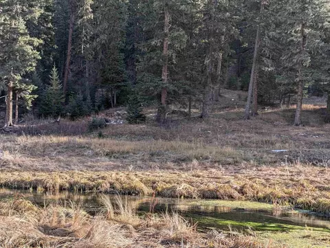 lot99 Mossy Pine Loop, Lead, SD 57754 photo 40