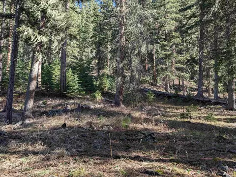 lot99 Mossy Pine Loop, Lead, SD 57754 photo 26