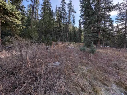 lot99 Mossy Pine Loop, Lead, SD 57754 photo 38