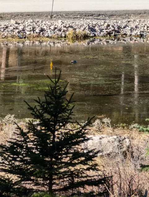 lot99 Mossy Pine Loop, Lead, SD 57754 photo 23