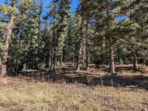 lot99 Mossy Pine Loop, Lead, SD 57754 photo 12