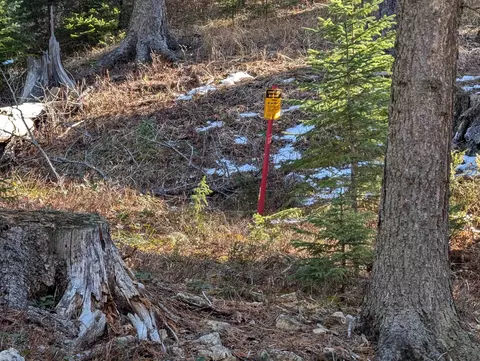 lot99 Mossy Pine Loop, Lead, SD 57754 photo 25