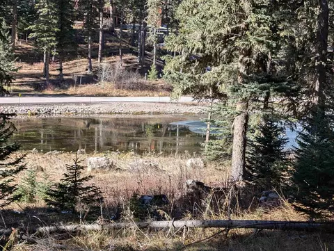 lot99 Mossy Pine Loop, Lead, SD 57754 photo 27