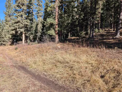 lot99 Mossy Pine Loop, Lead, SD 57754 photo 13