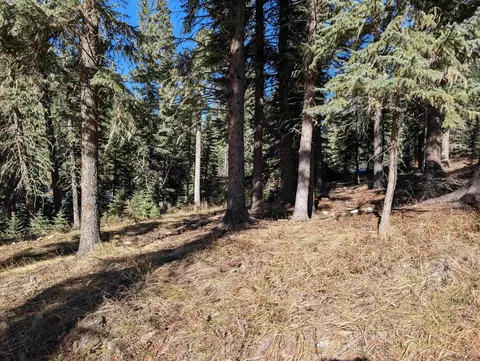 lot99 Mossy Pine Loop, Lead, SD 57754 photo 24