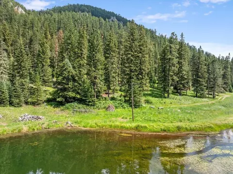 lot99 Mossy Pine Loop, Lead, SD 57754
