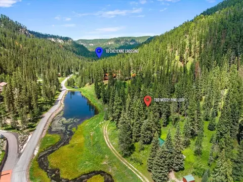 lot99 Mossy Pine Loop, Lead, SD 57754 photo 7