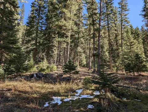 lot99 Mossy Pine Loop, Lead, SD 57754 photo 18