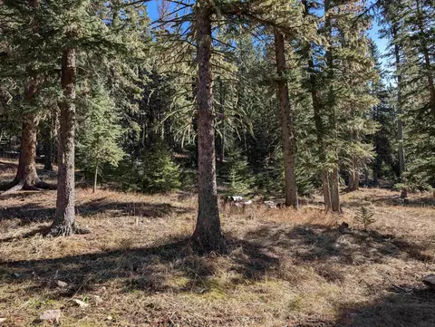 lot99 Mossy Pine Loop, Lead, SD 57754 photo 20