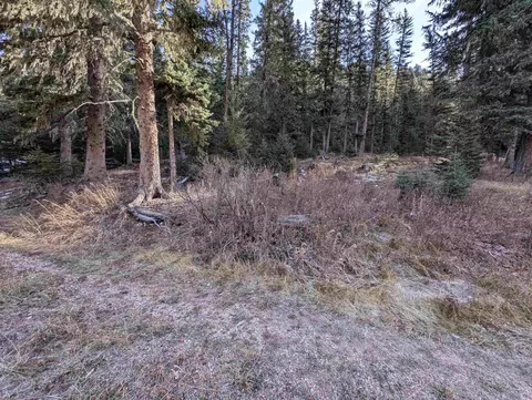 lot99 Mossy Pine Loop, Lead, SD 57754 photo 37