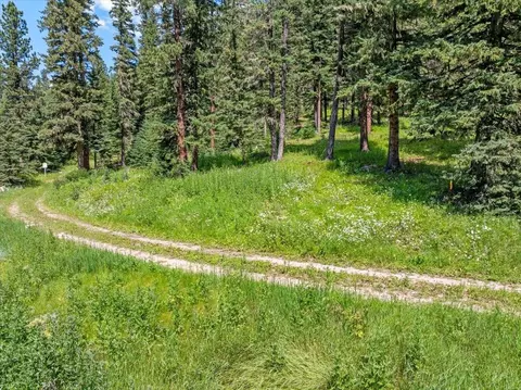 lot99 Mossy Pine Loop, Lead, SD 57754 photo 4