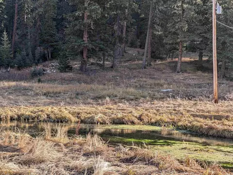 lot99 Mossy Pine Loop, Lead, SD 57754 photo 39