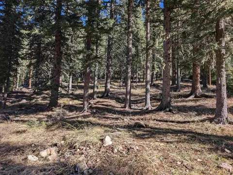 lot99 Mossy Pine Loop, Lead, SD 57754 photo 19