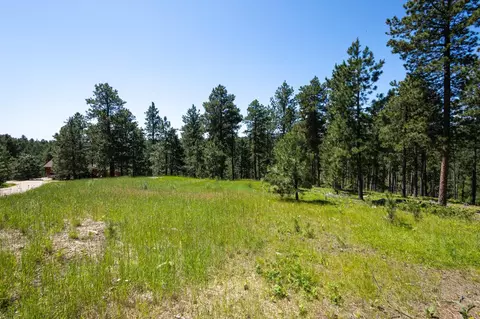 lot16 Cuba St, Deadwood, SD 57732